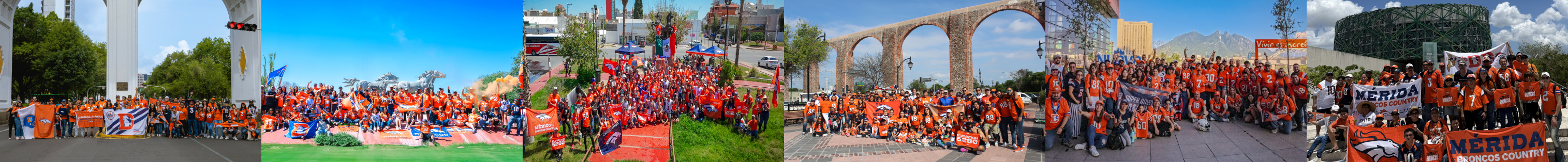 fanfoto-anual