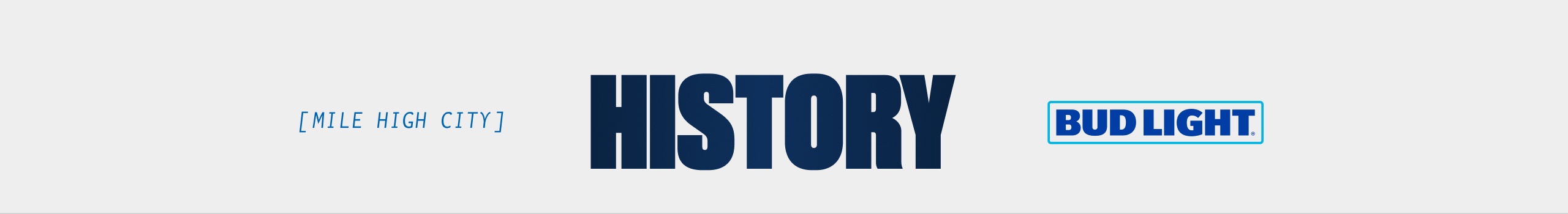 Team history banner
