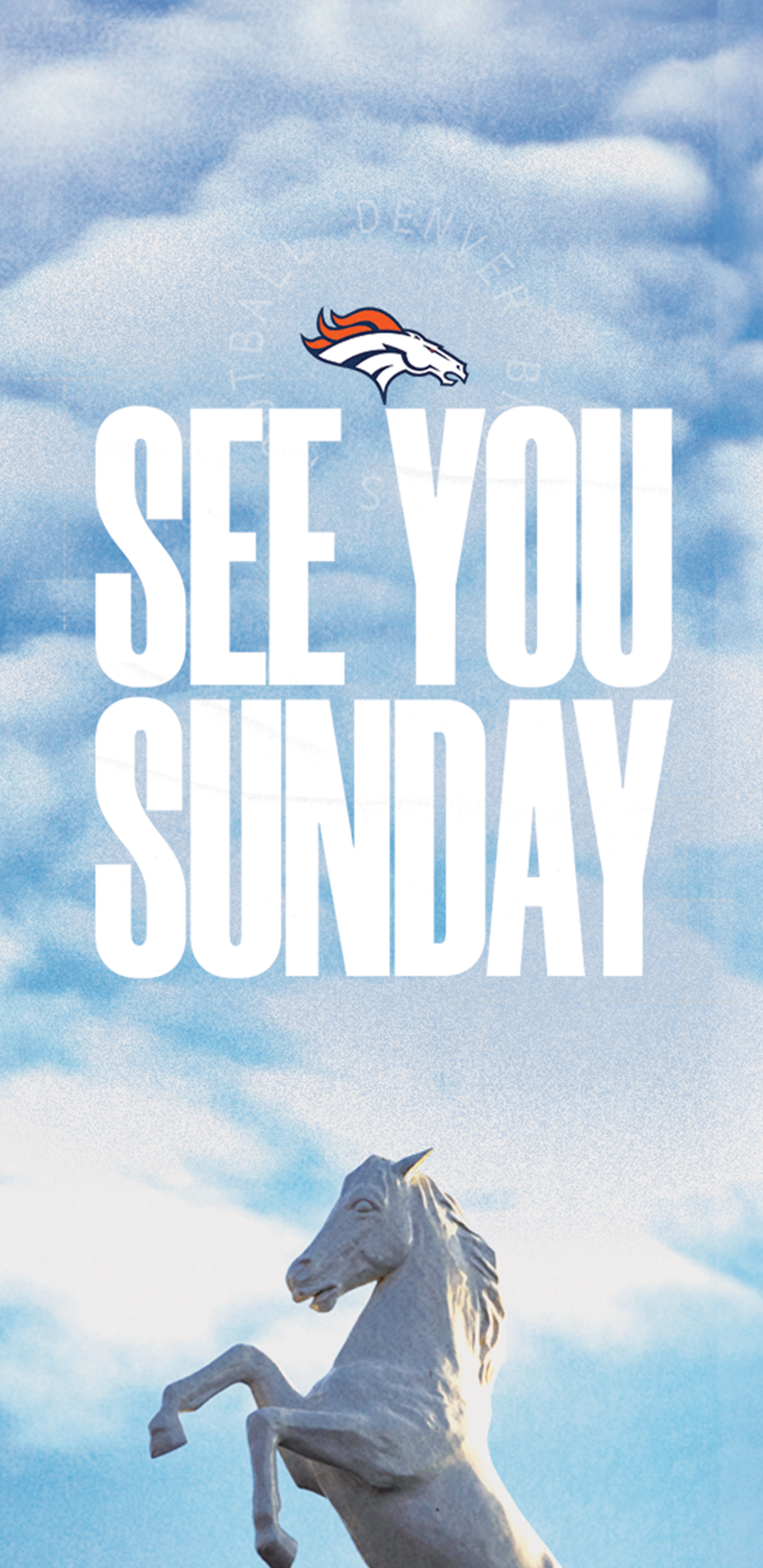 Download Bucky wallpaper for mobile