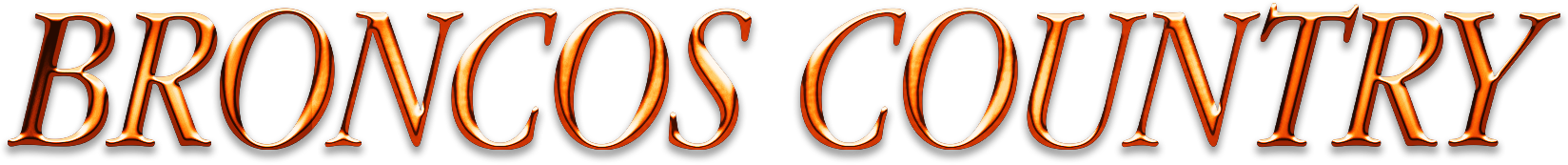 Broncos Country Fan Section