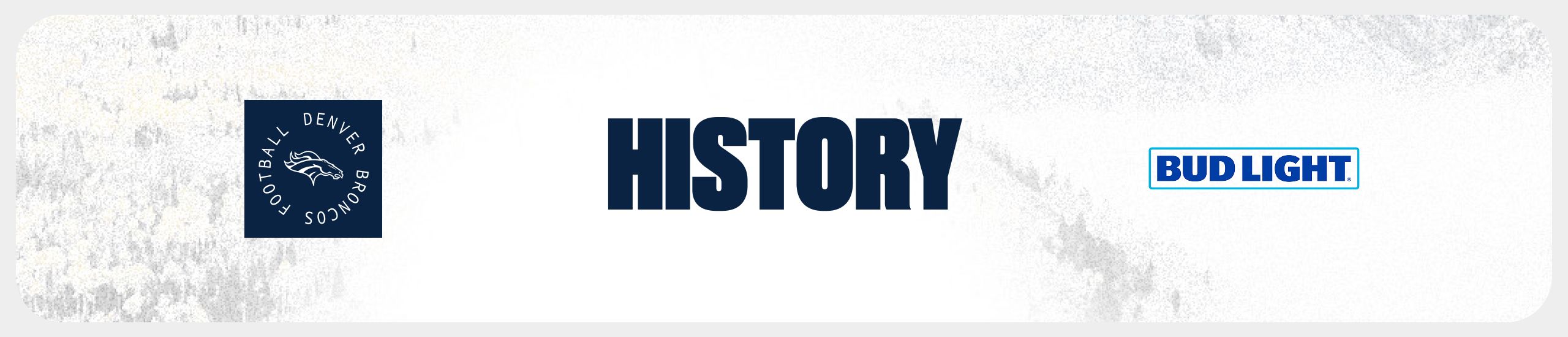 Team history banner
