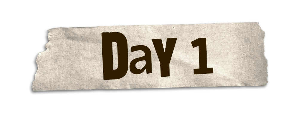 Defensive Lineman / Linebackers