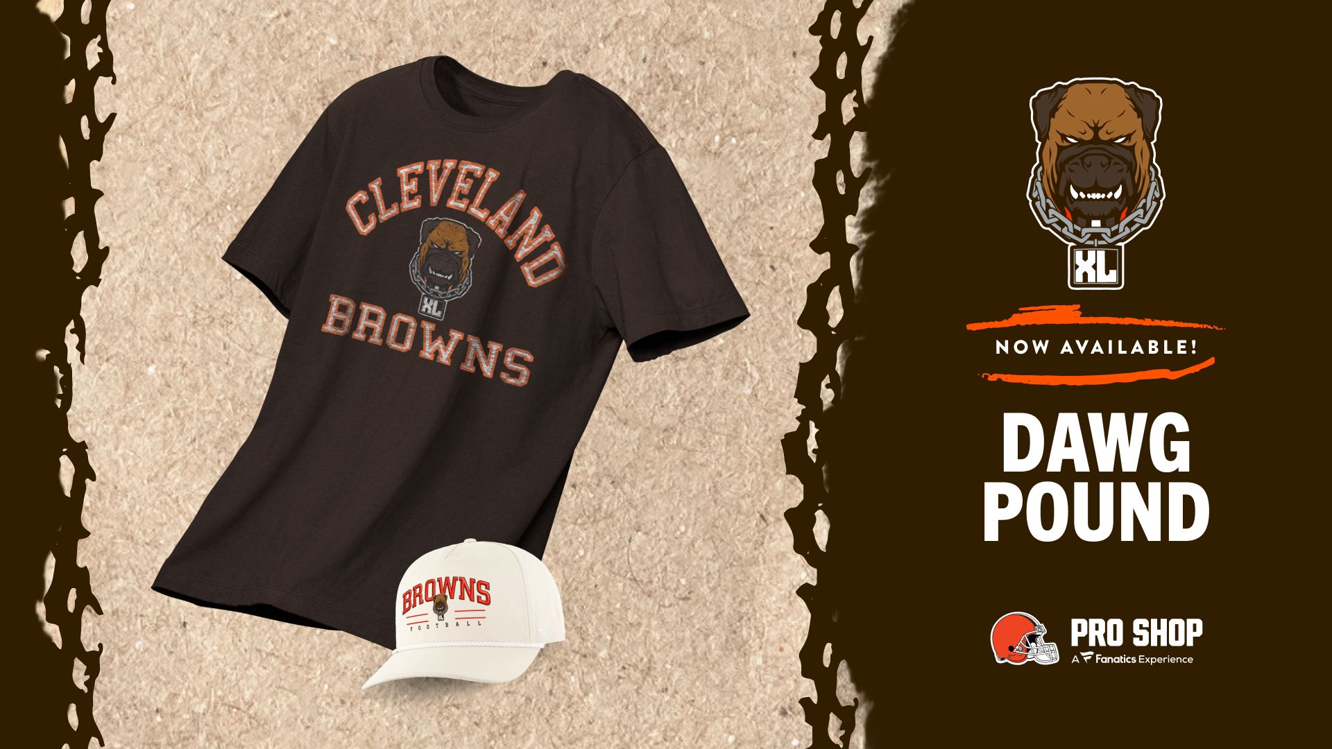 Special Edition Gear