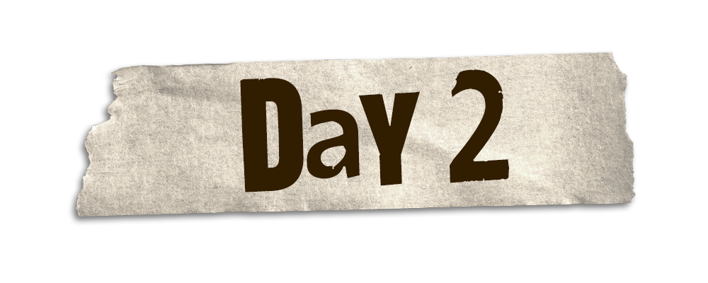 Defensive Backs / Tight Ends