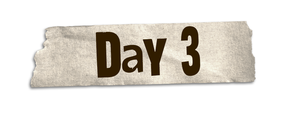 Quarterbacks / Wide Receivers / Running Backs