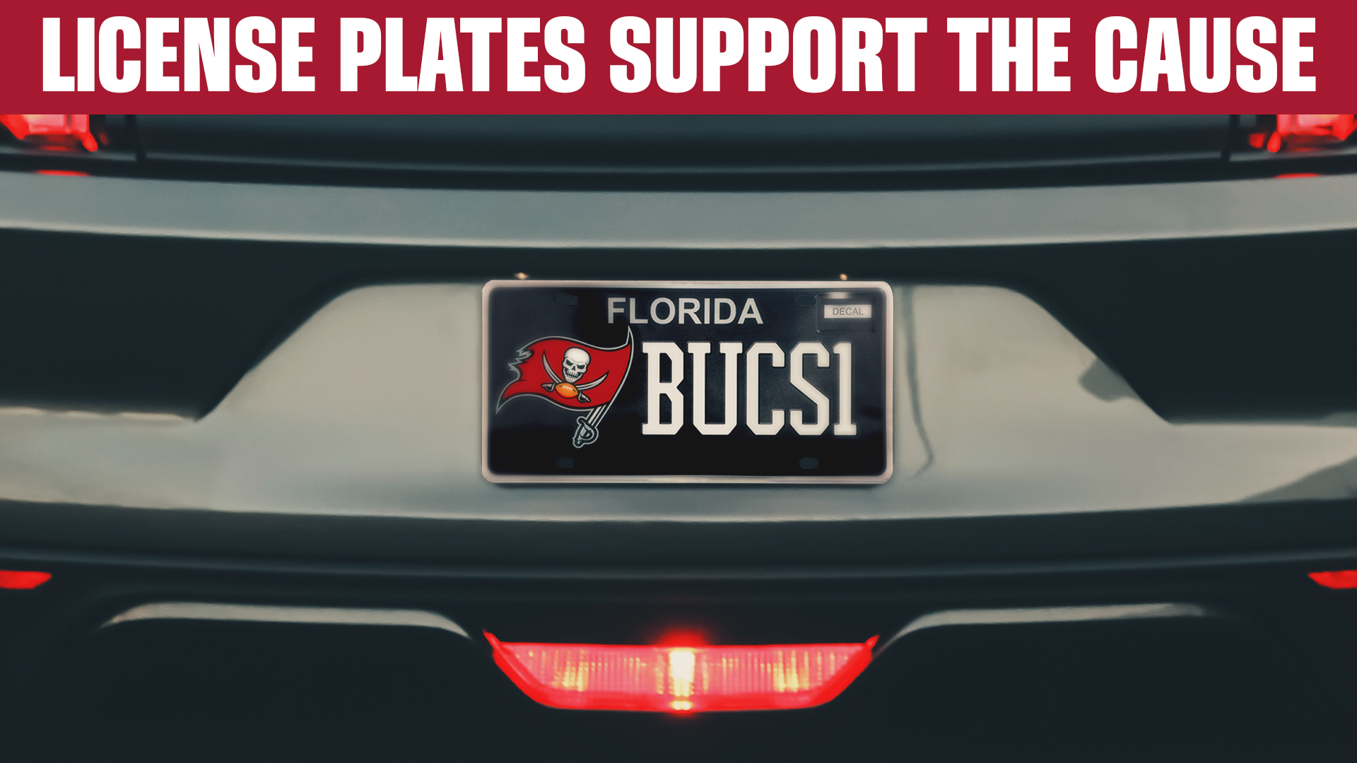 License Plates - Support the cause