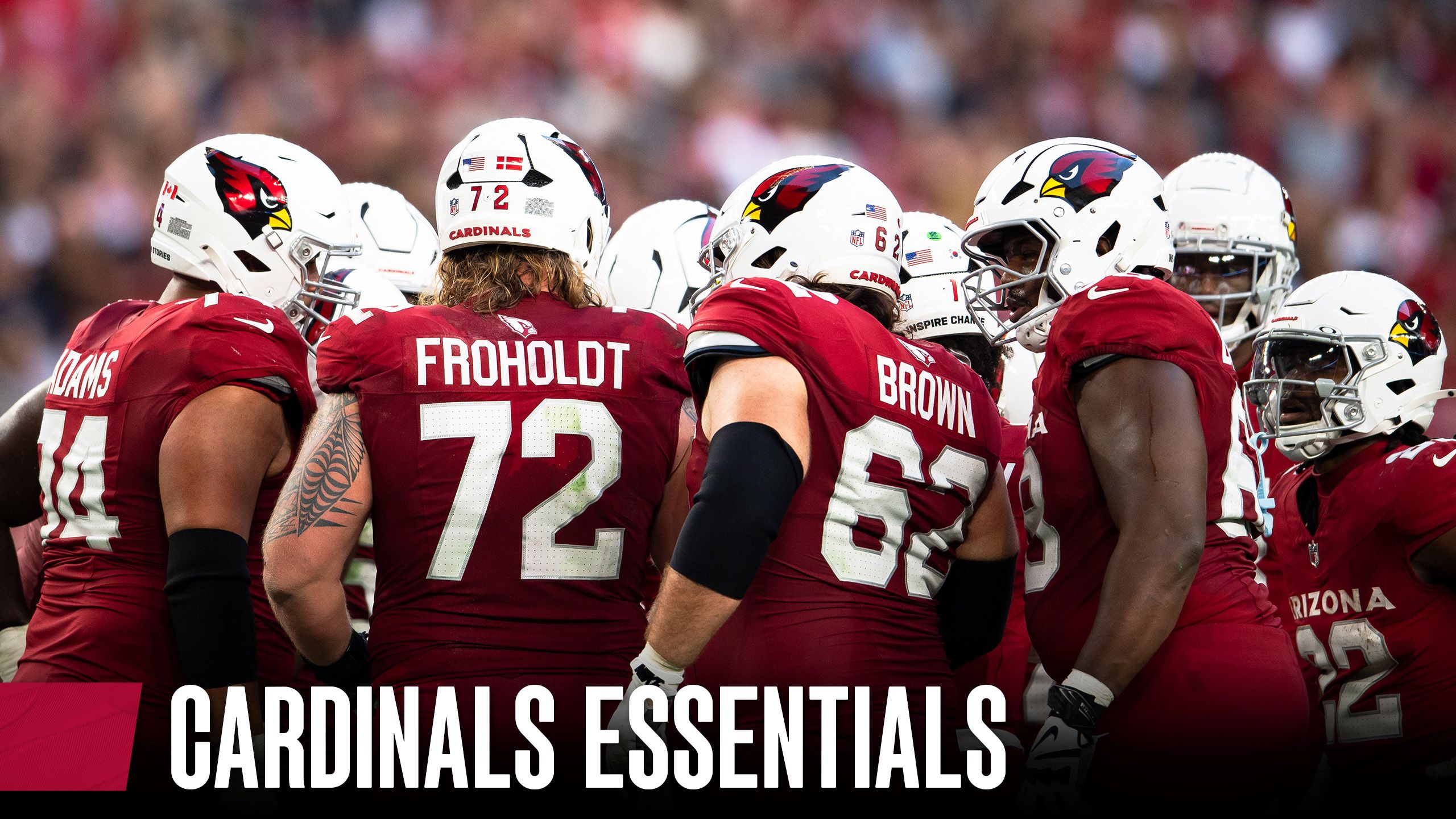 Cardinals Essentials