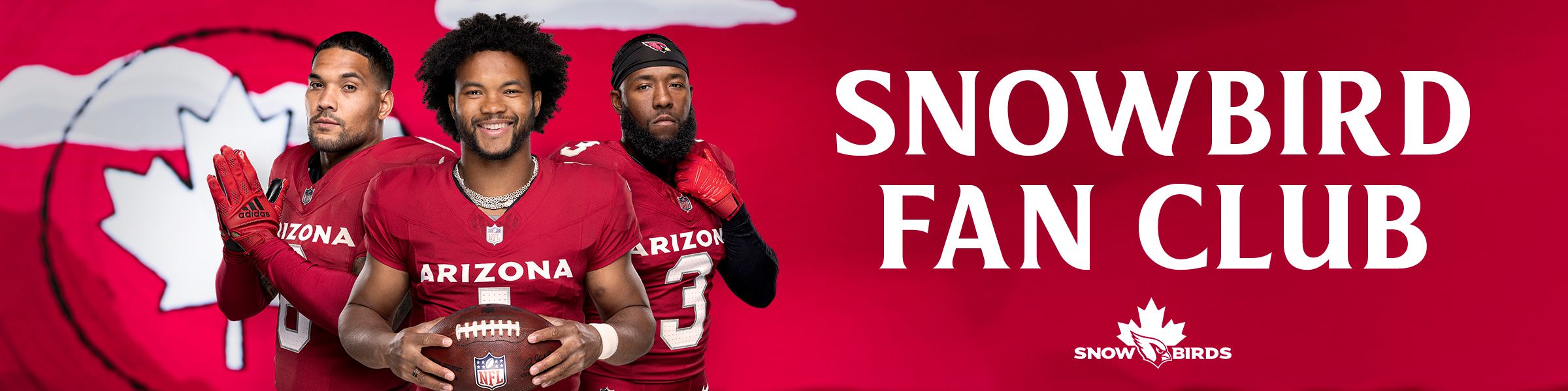 INTL002_Canada - Join The Snowbirds - Email & Ads_1200x300