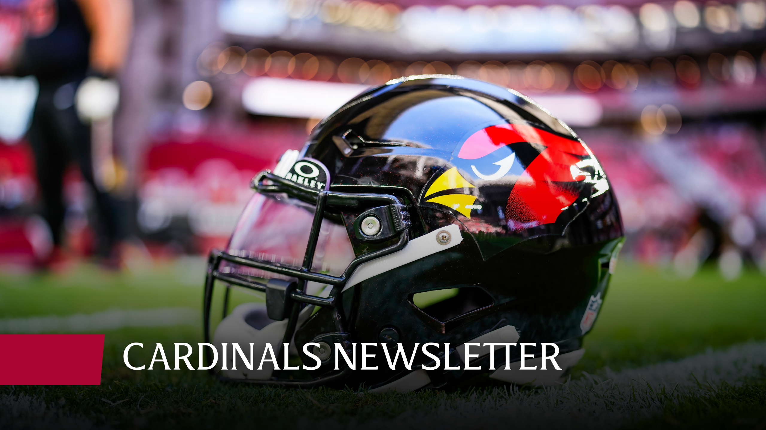 CARDINALS NEWSLETTER