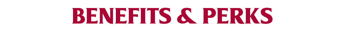 The Arizona Cardinals are committed to investing in our team members and their well-being with the goal of fostering an environment that supports a healthy, productive, and flexible lifestyle. Benefits and perks include: