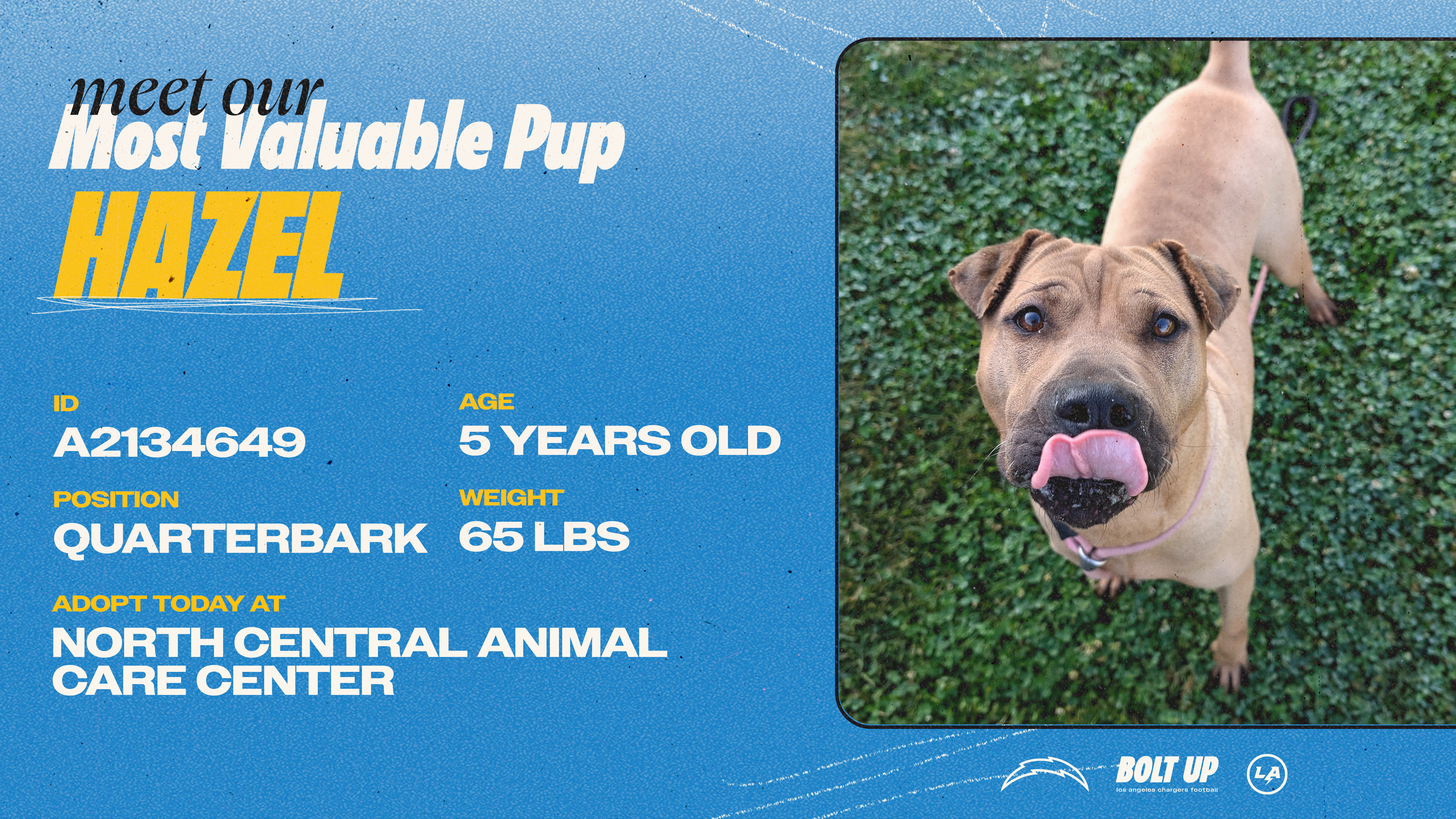 Content_Social_Community_MVPup_Hazel_16x9