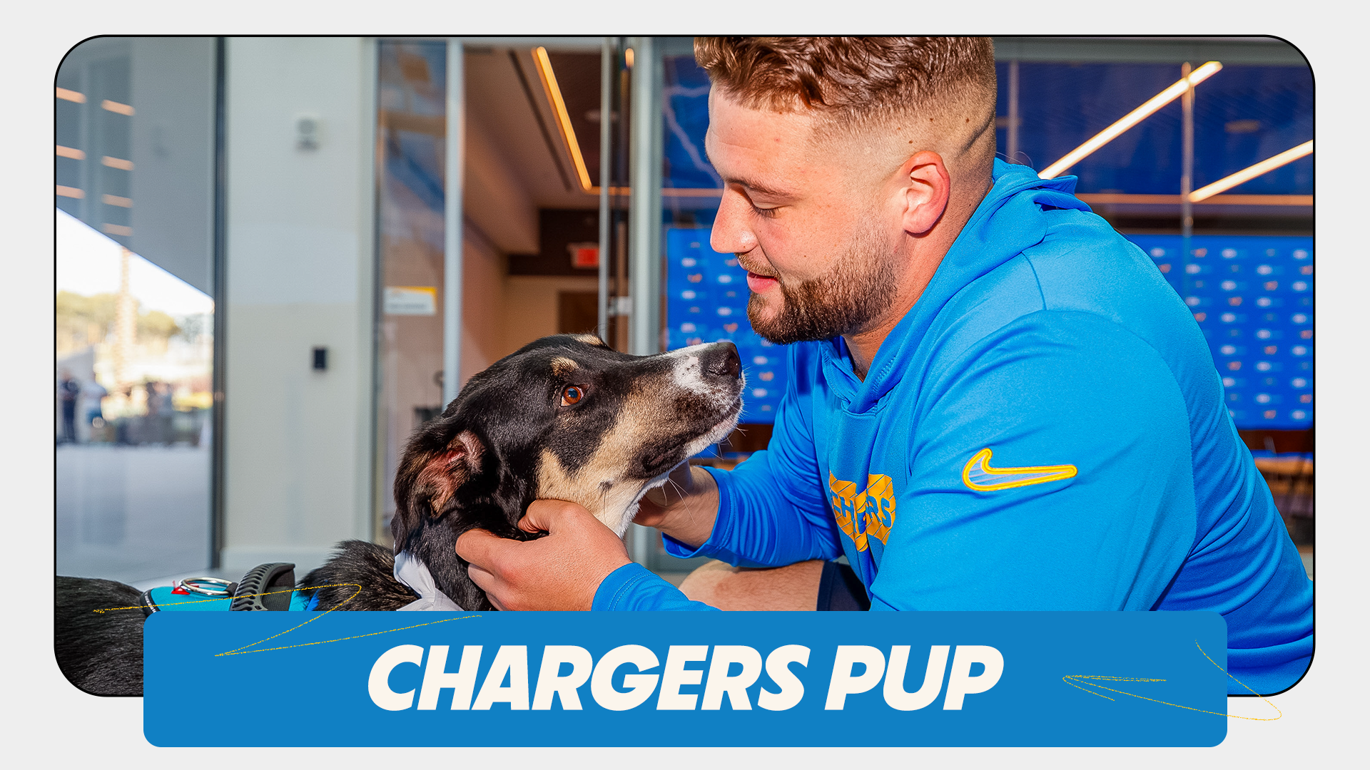 Chargers Pup