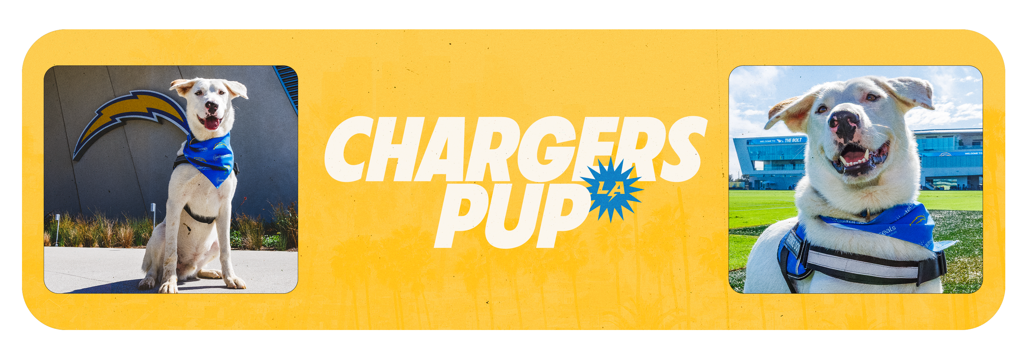 Chargers Pup Banner 