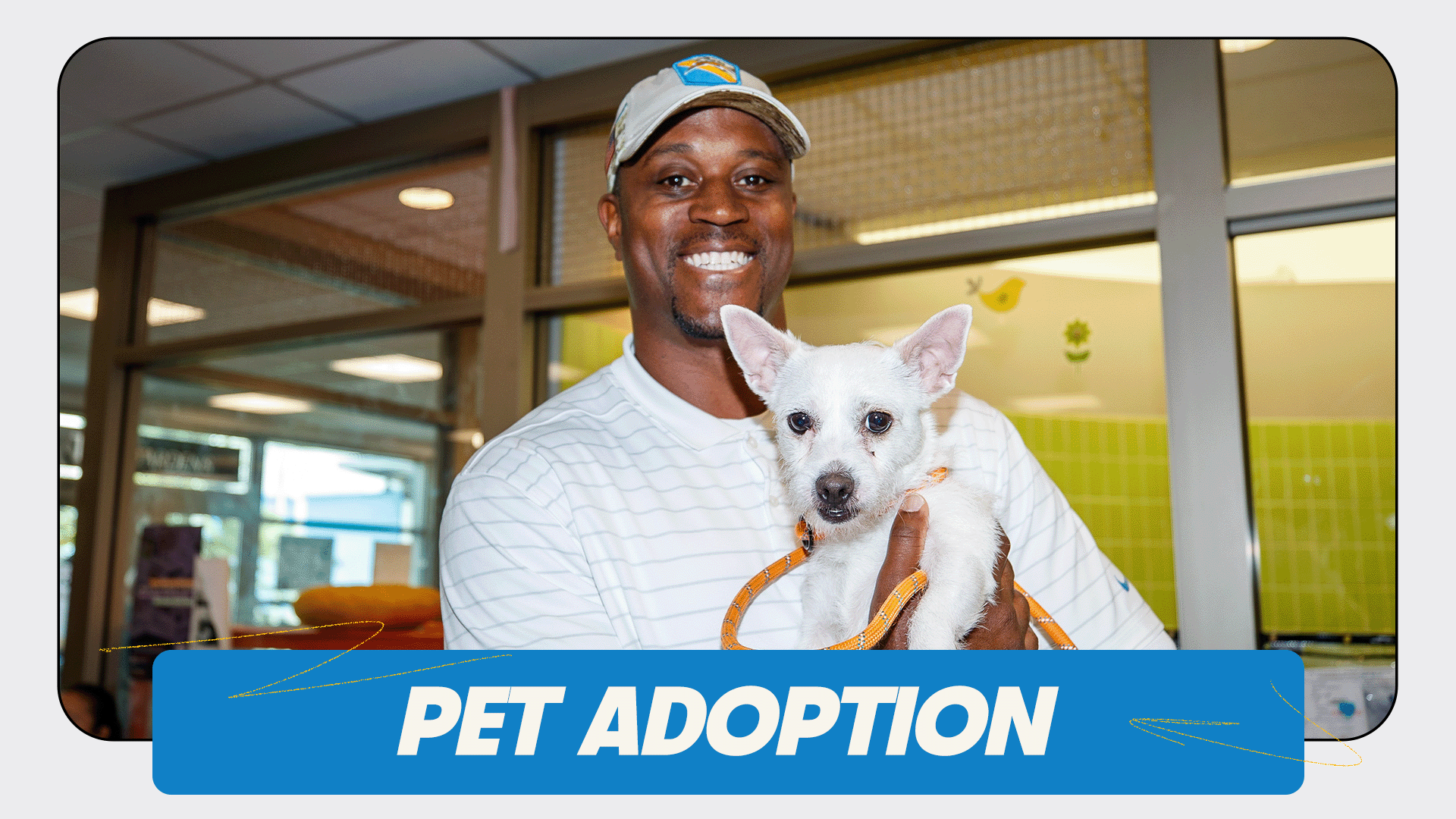 Pet Adoption