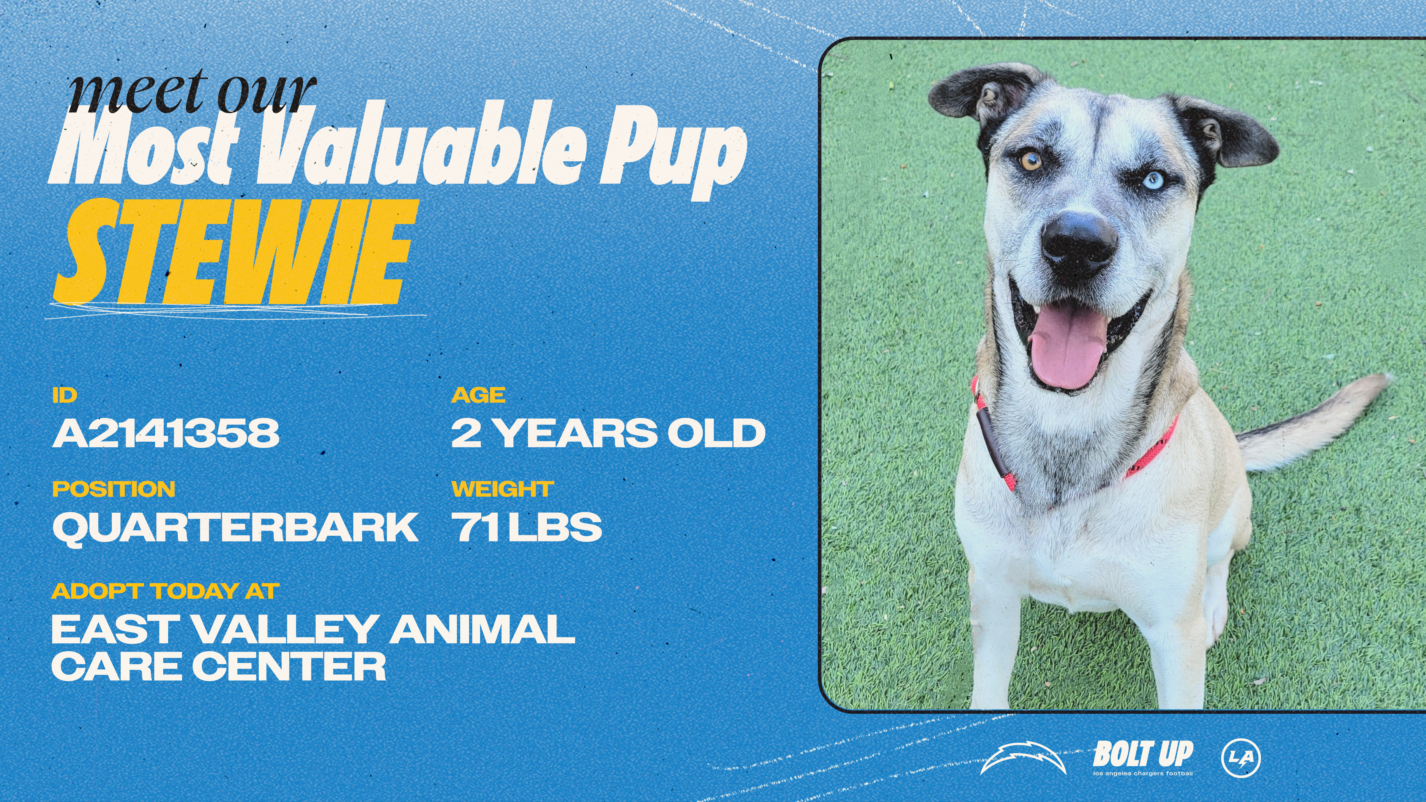 Content_Social_Community_MVPup_Stewie_16x9