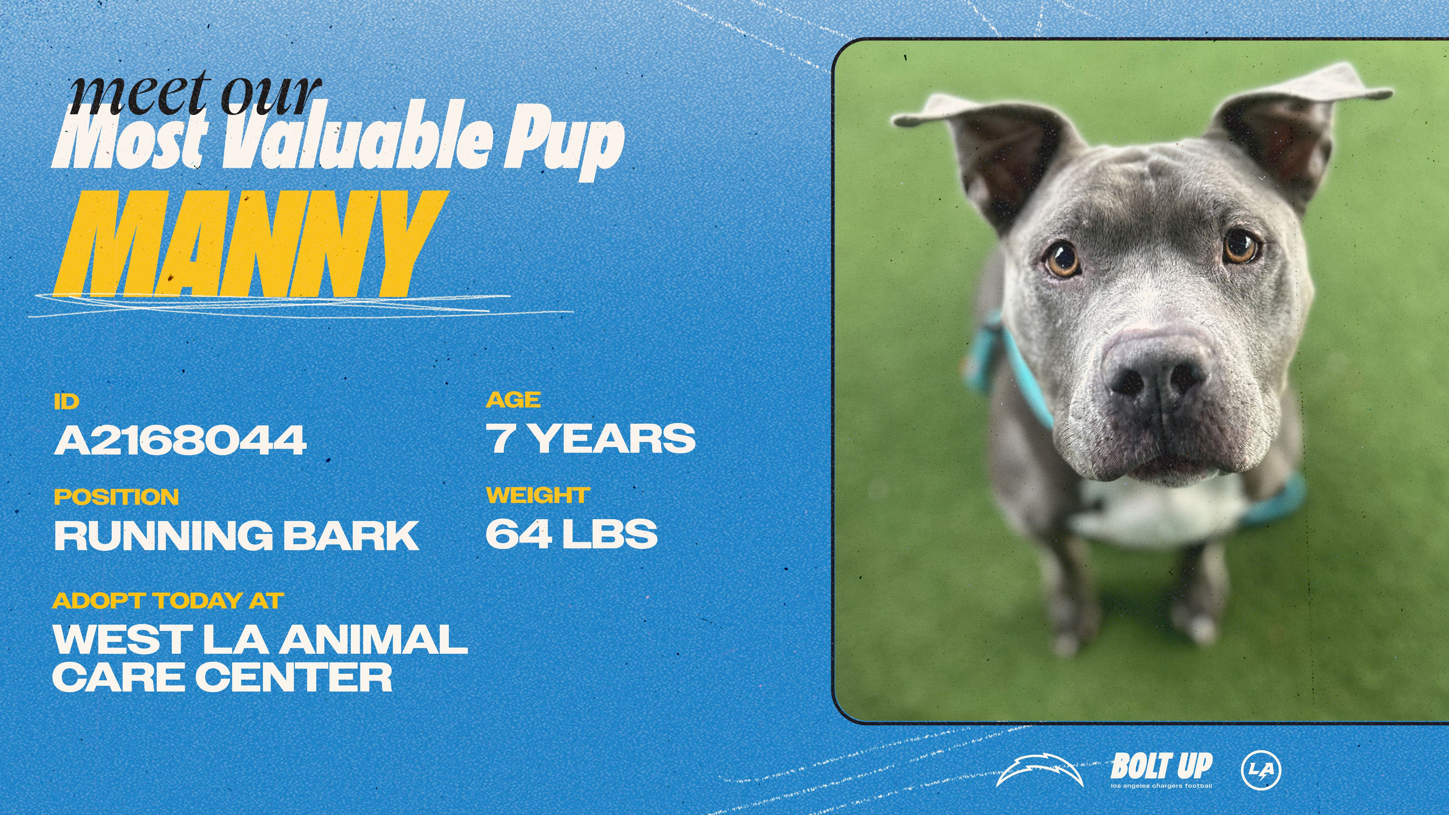 Content_Social_Community_MVPup_Manny_16x9