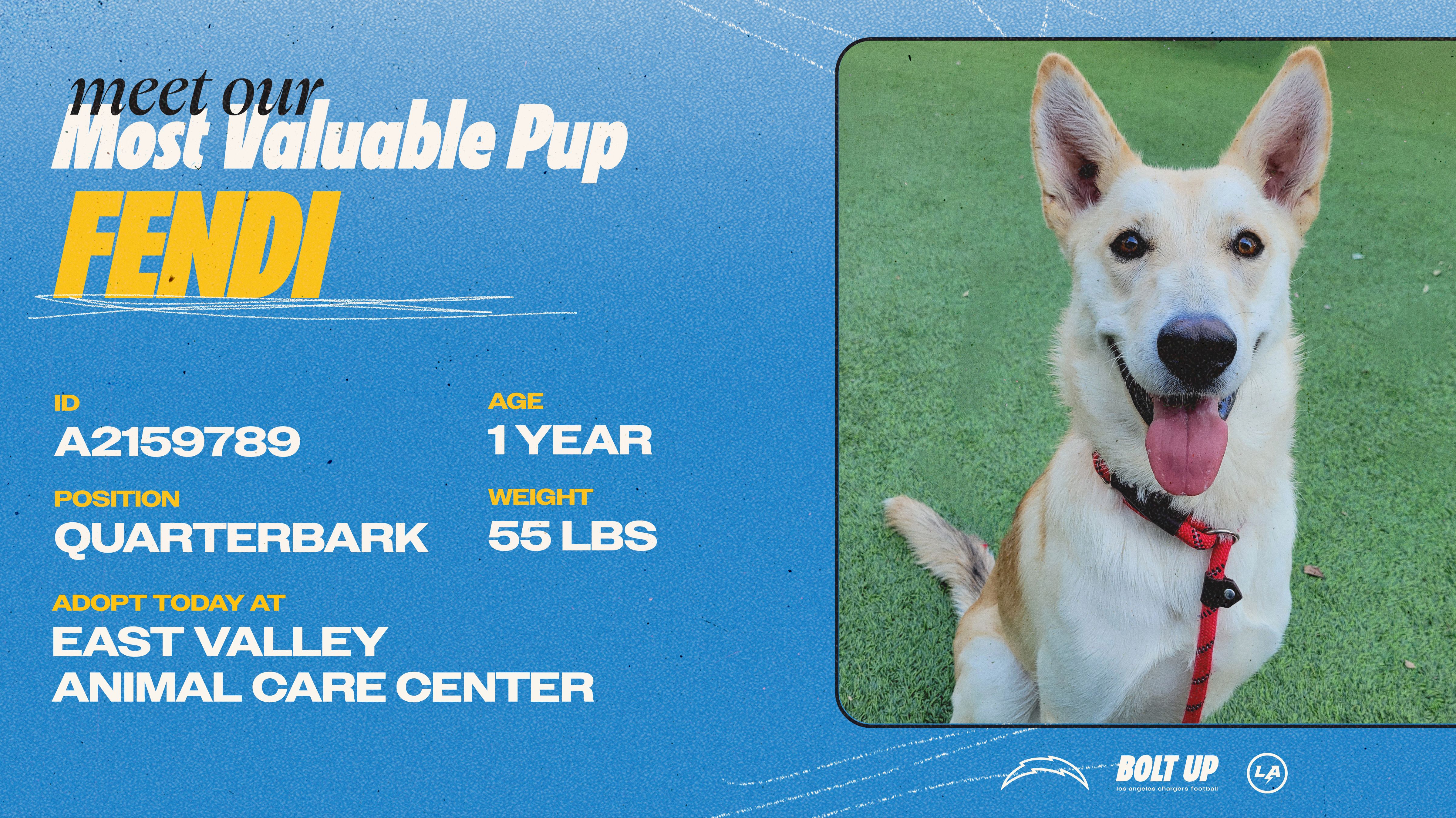 Content_Social_Community_MVPup_Fendi_16x9