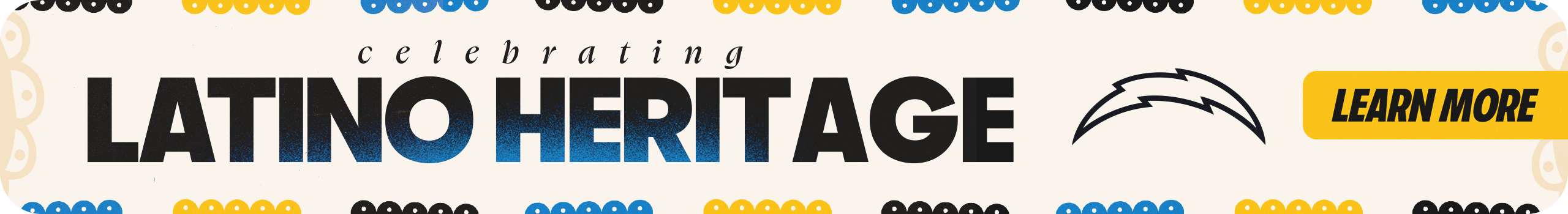 Digital_Site_Headers_PuroChargers_BannerSiteHomepage