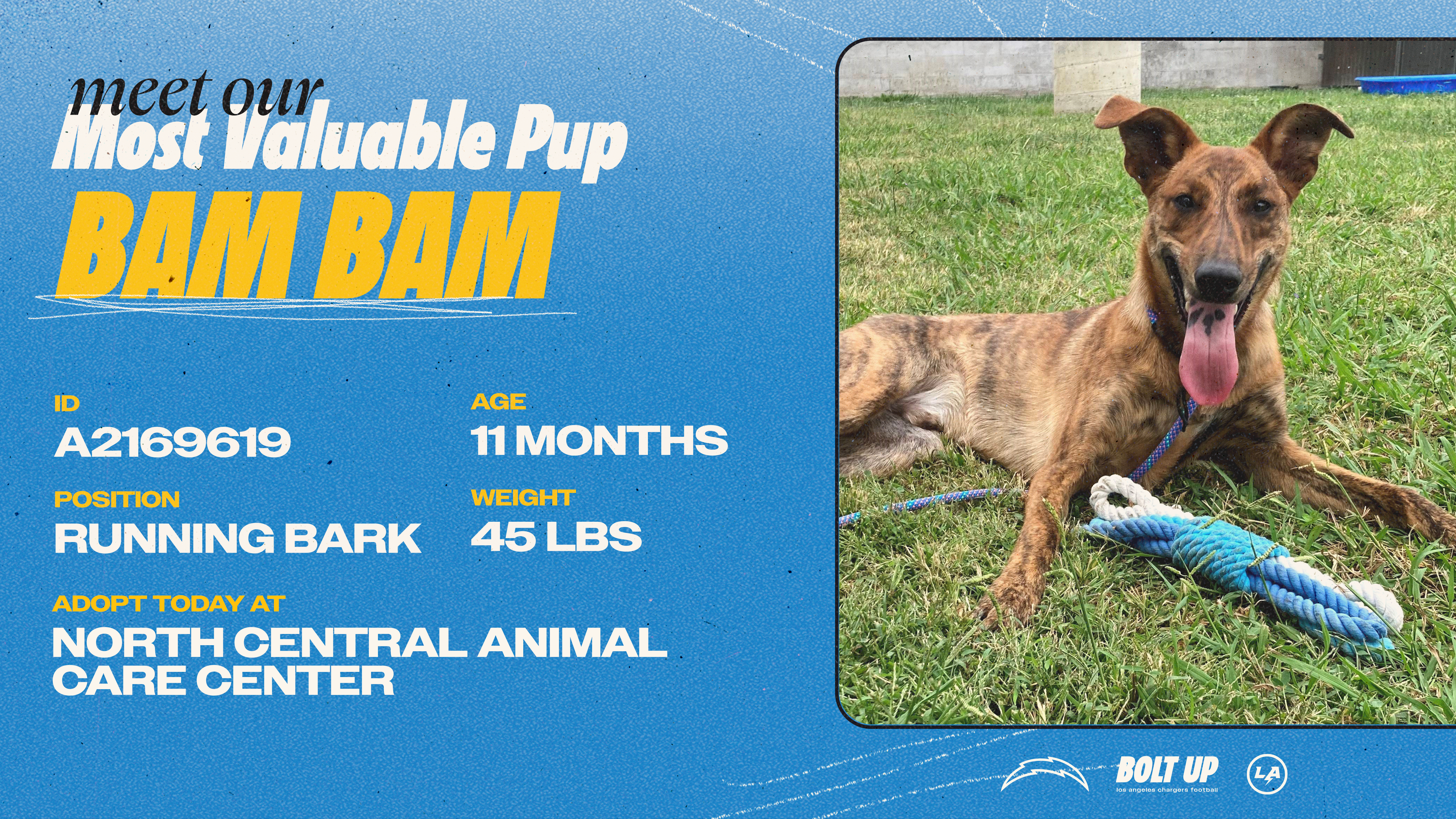 Content_Social_Community_MVPup_BamBam_16x9