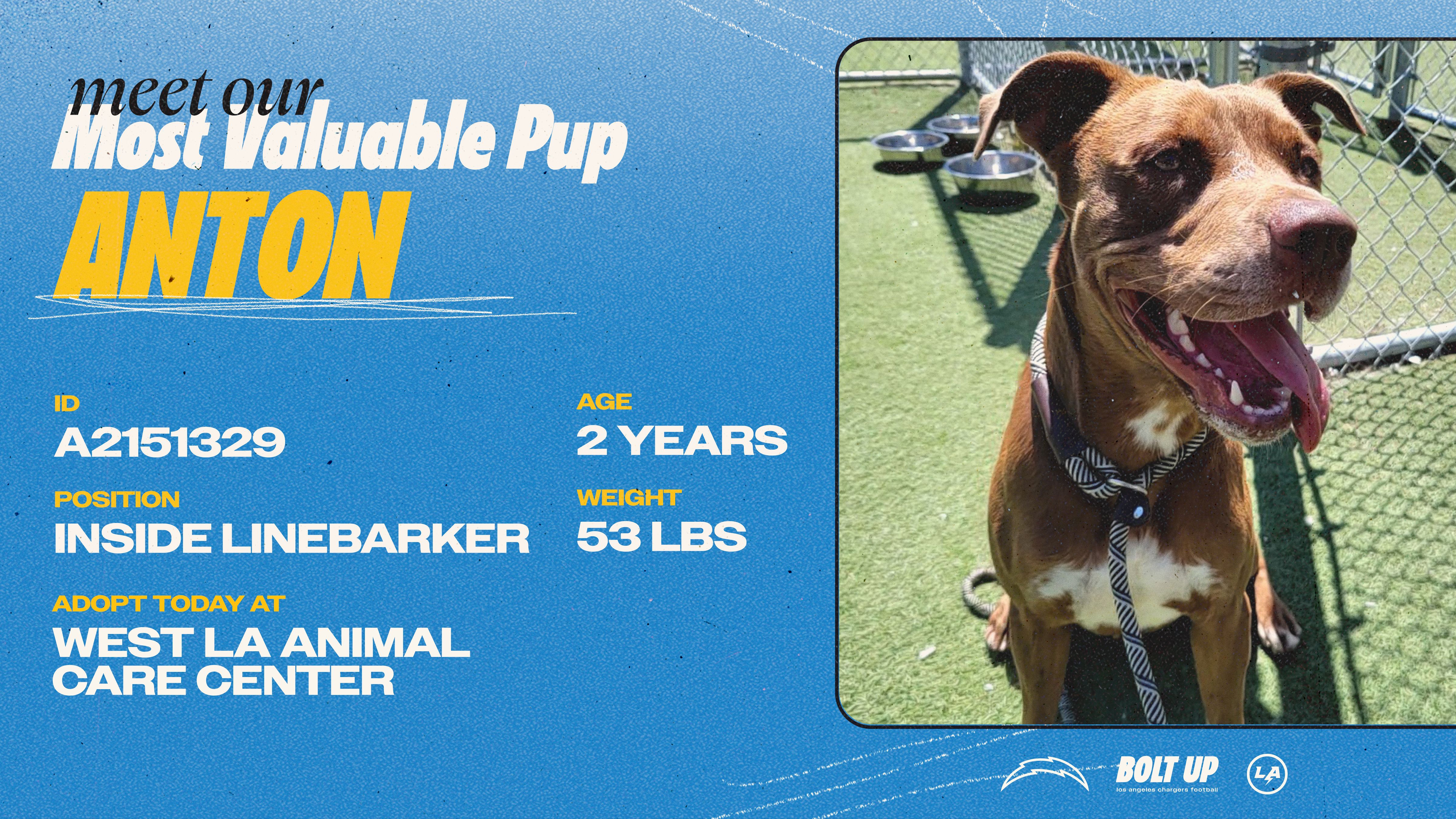 Content_Social_Community_MVPup_Anton_16x9