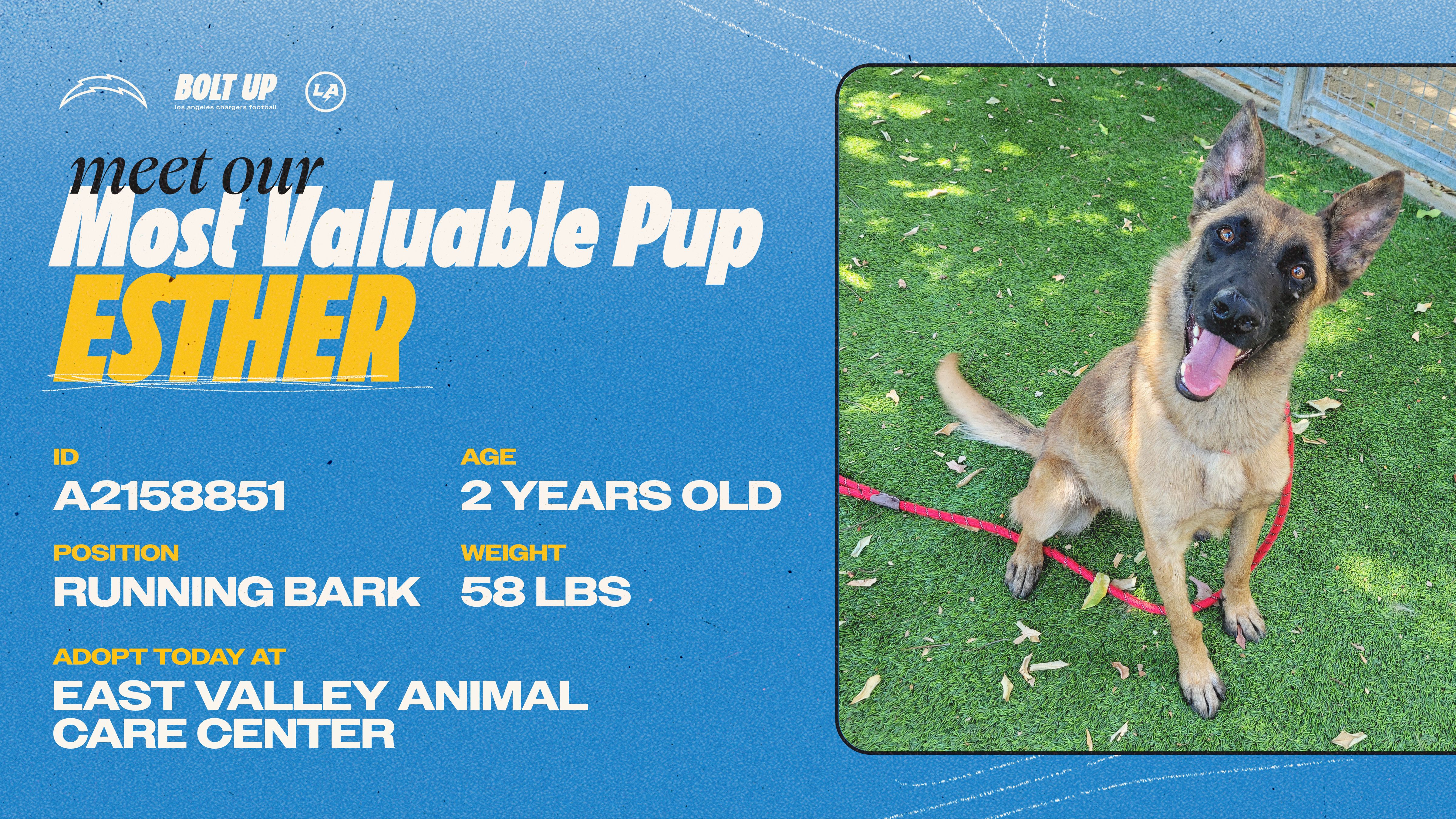 Content_Social_Community_MVPup_Esther_16x9