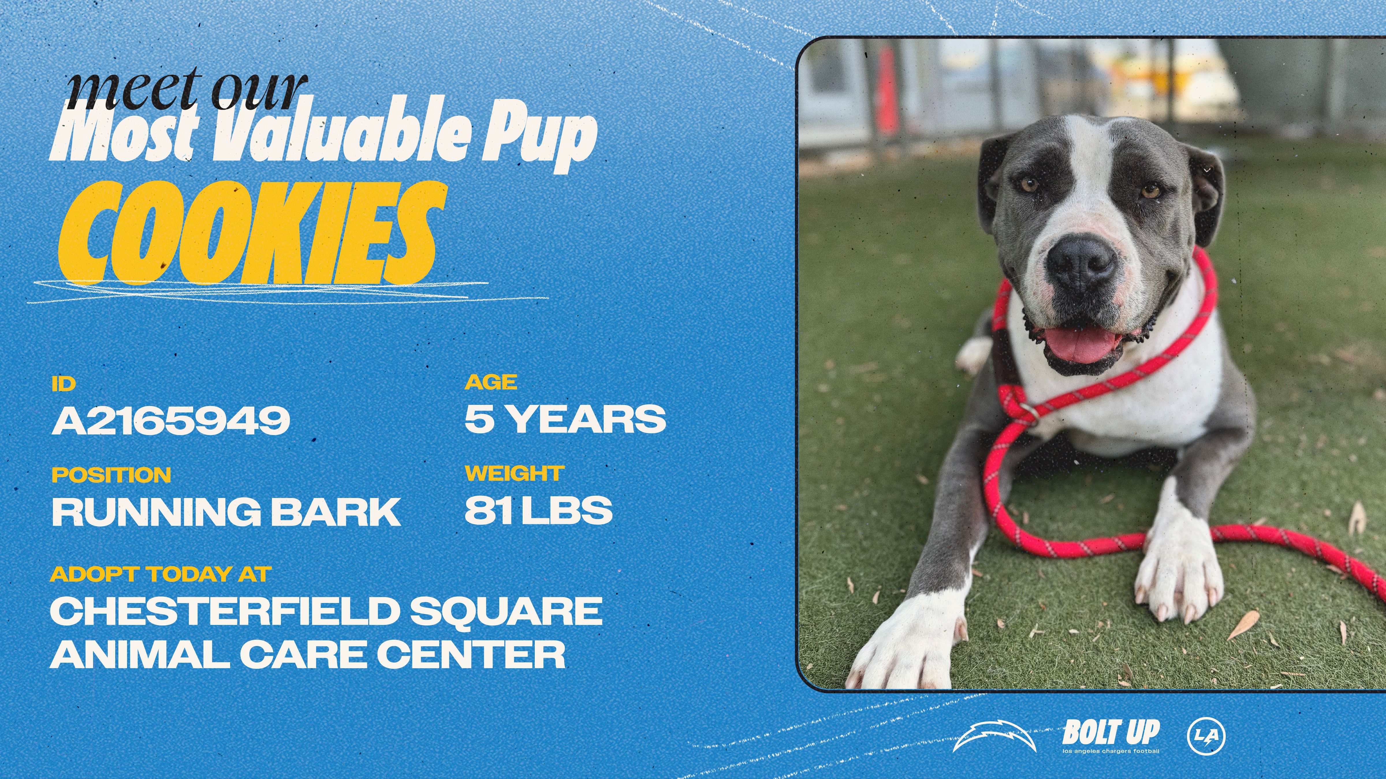 Content_Social_Community_MVPup_Cookies_16x9