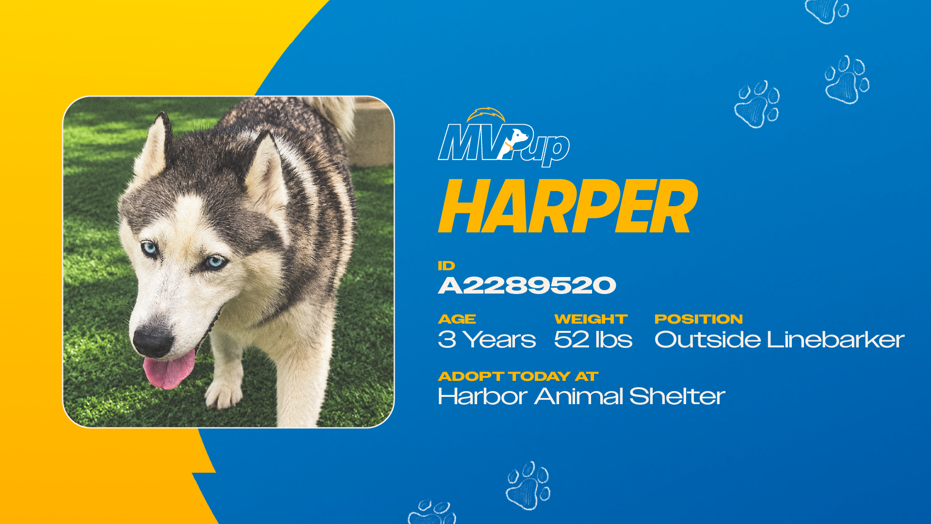 20260908_MVPups-Social-2026_16x9_2