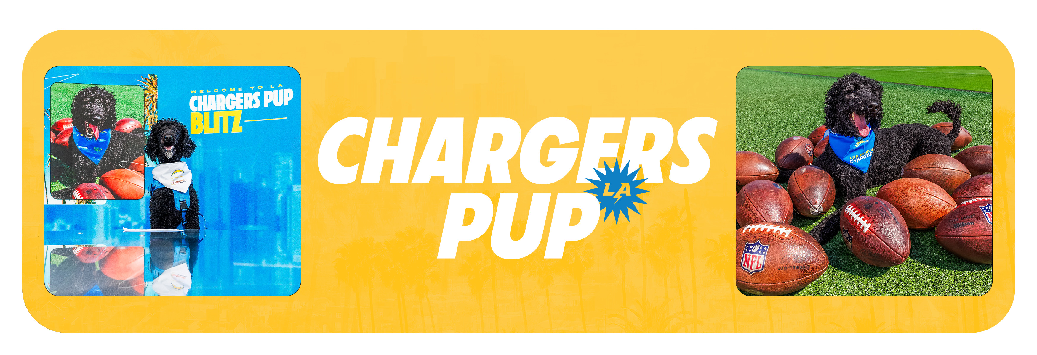 Chargers Pup