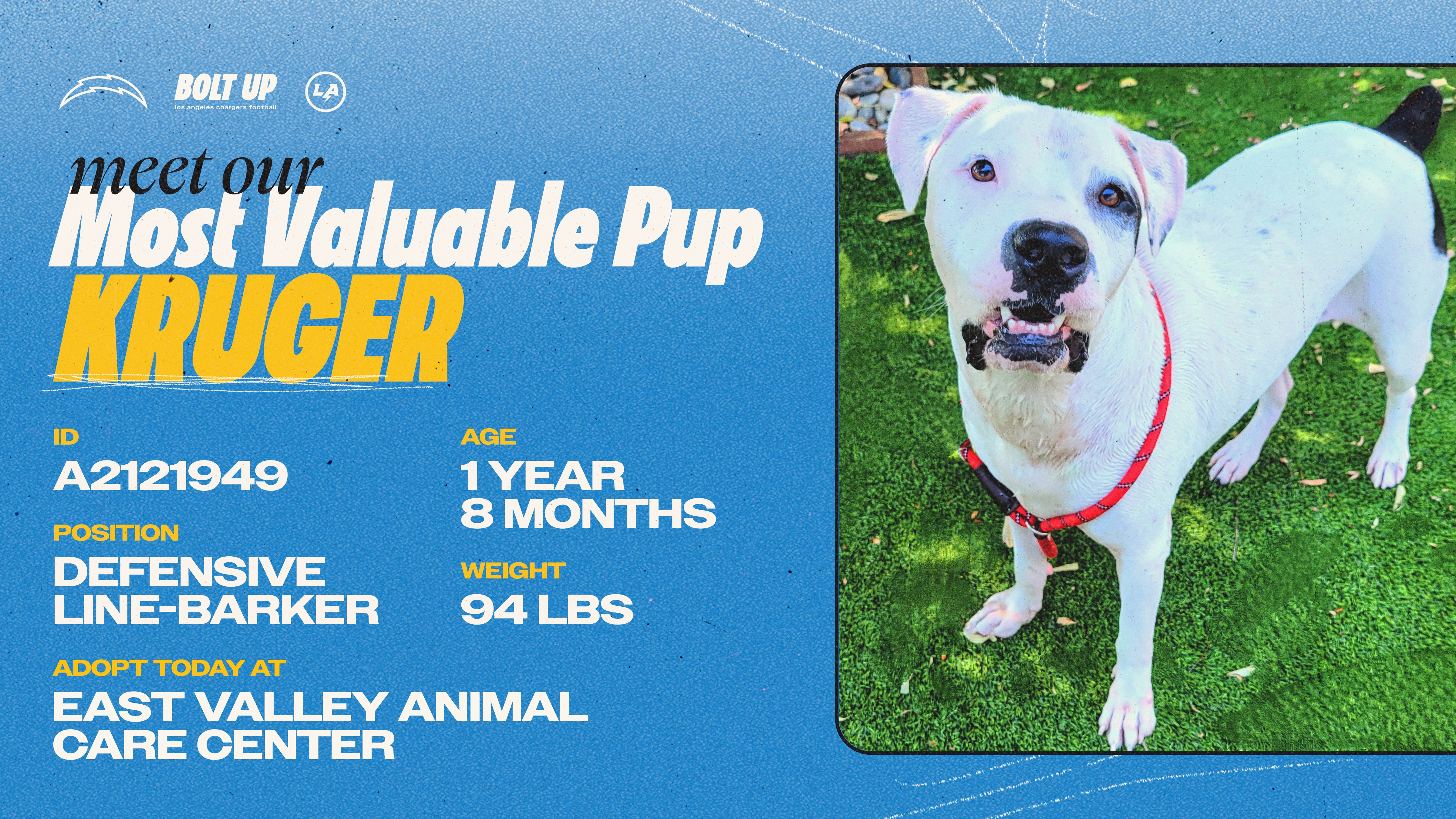 Content_Social_Community_MVPup_Kruger_16x9