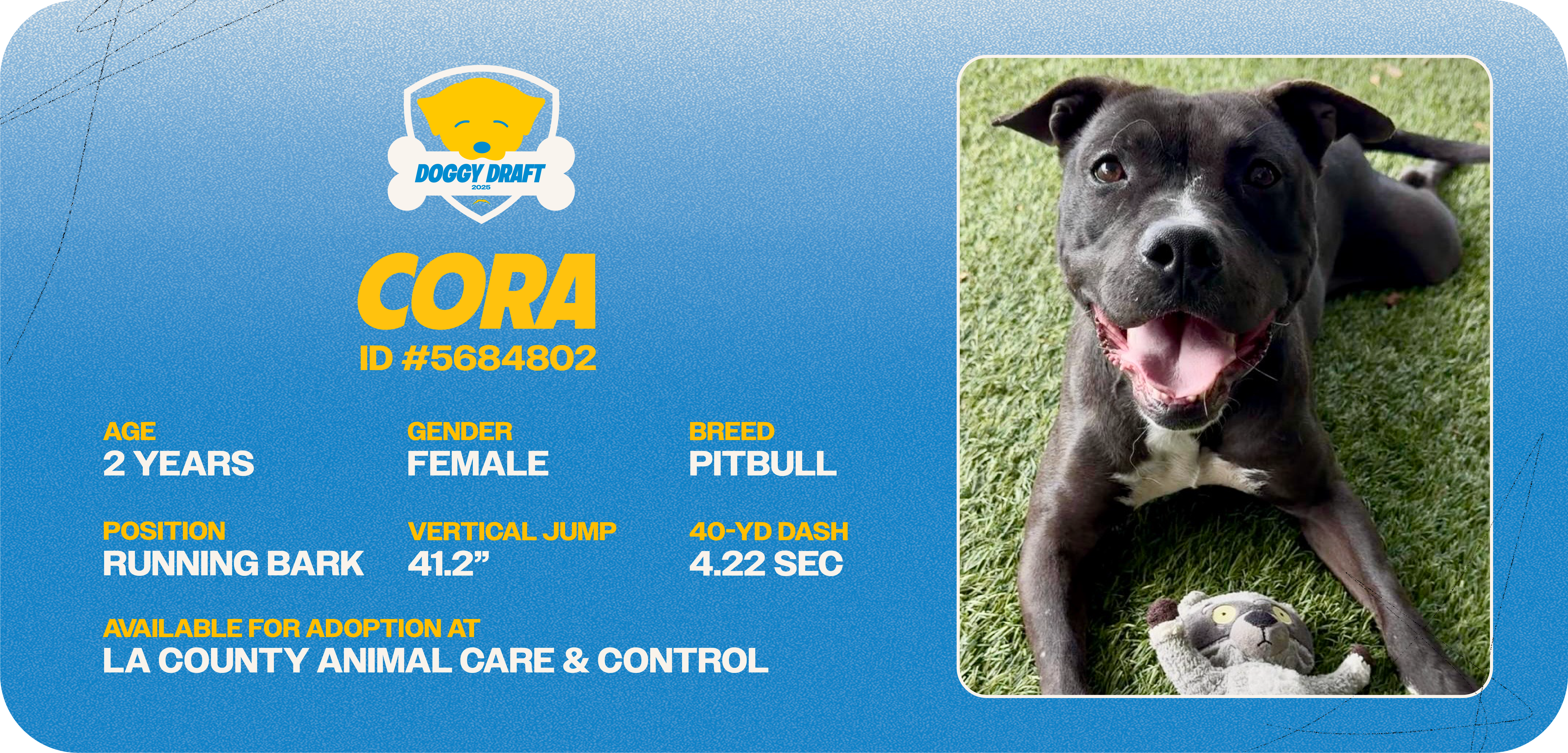 Doggy-Draft_cards_Dog Info Tiles_Cora