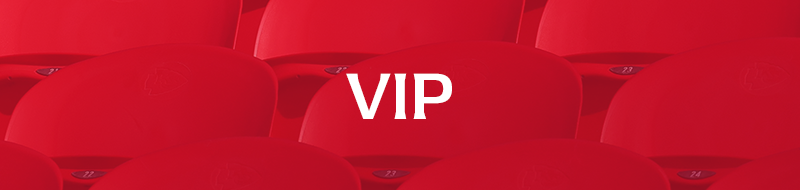 VIP Ticket - $175