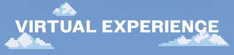 Virtual Experience