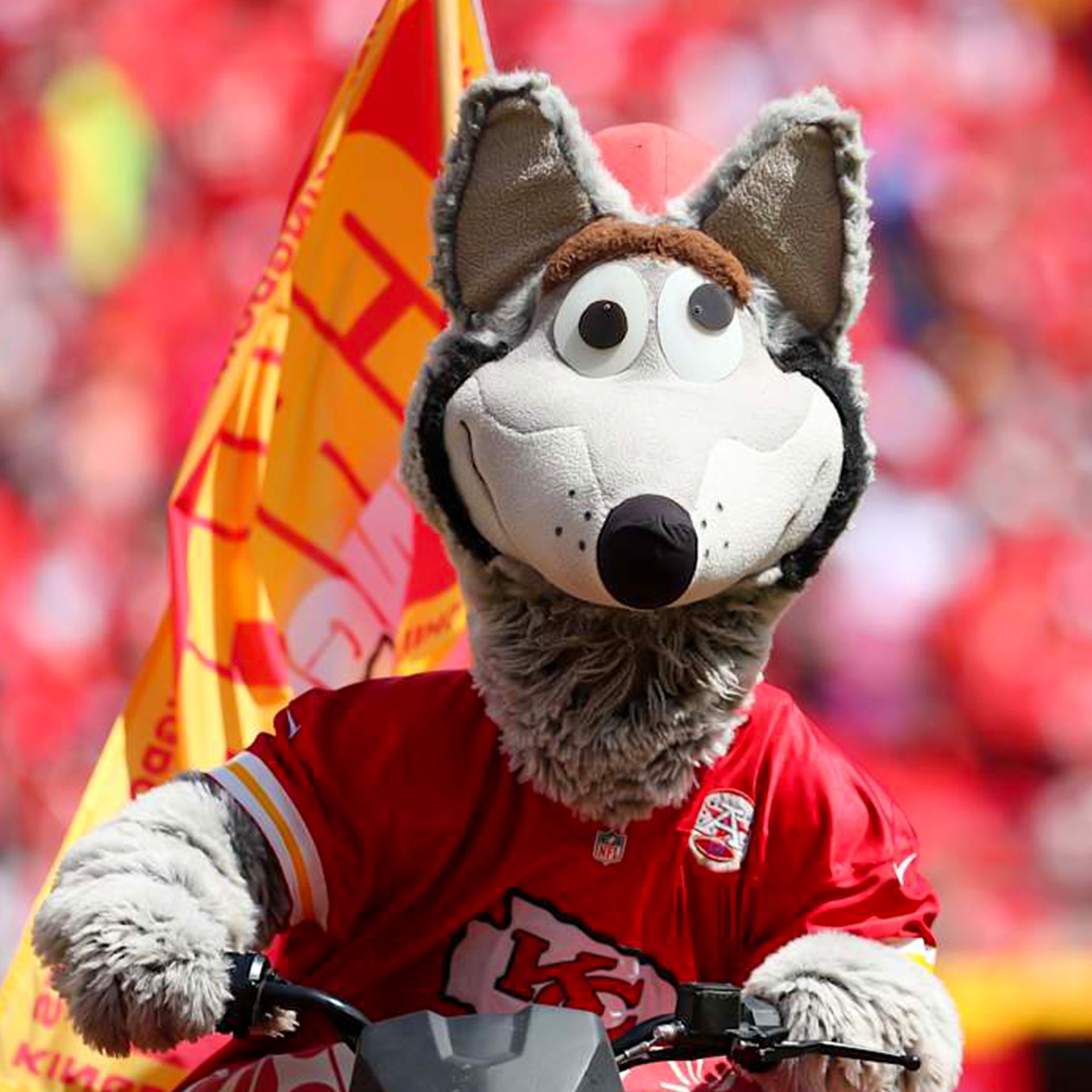 2026-Birthday-Bash-Guests-KCWolf-1x1