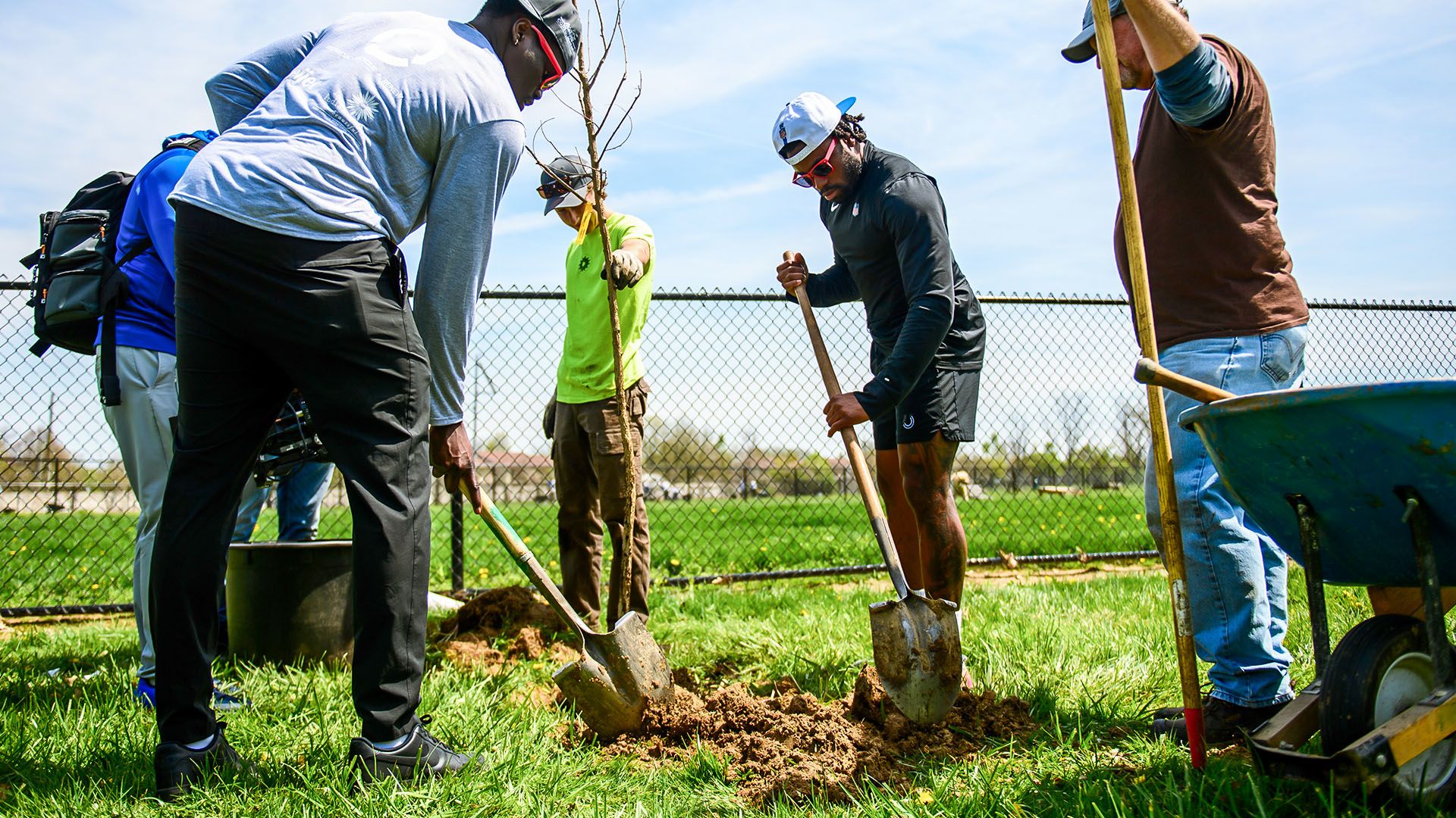 Touchdowns for Trees