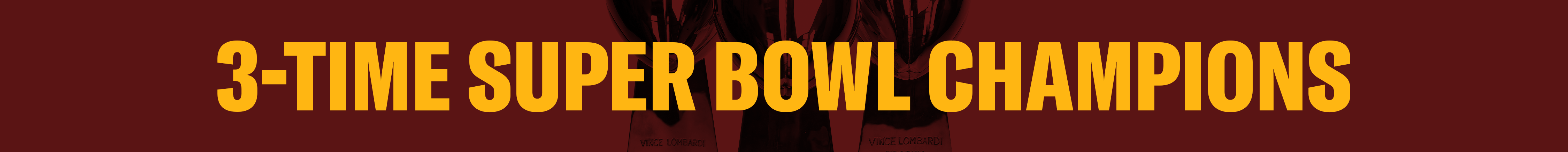 Web Banner - Super Bowl Champs
