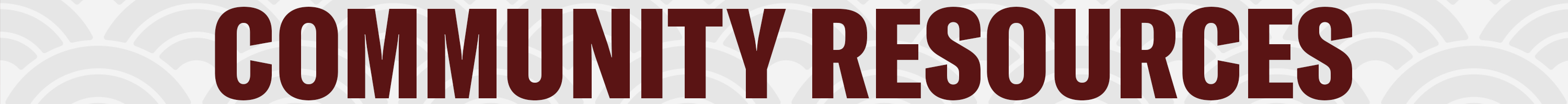 AAPI Community Header 2026 - 3000x200