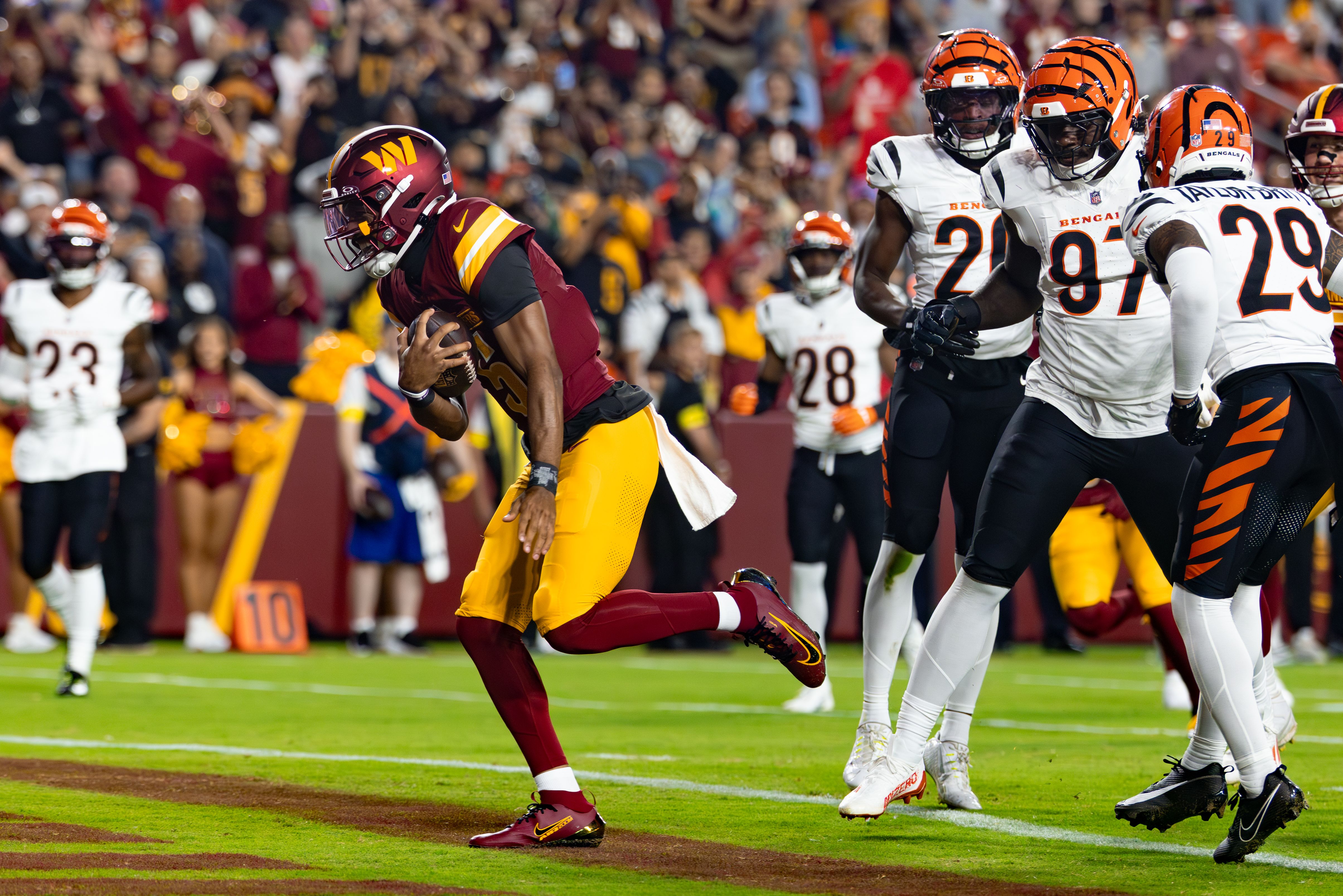 Bengals
