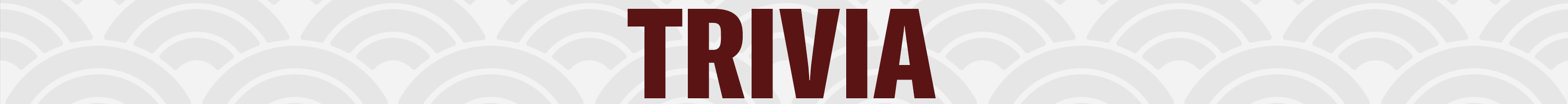 AAPI Trivia Header 2026 - 3000x200