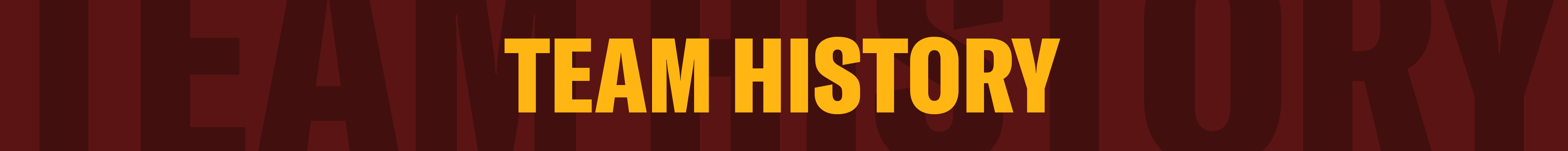 Web Banner - Team History