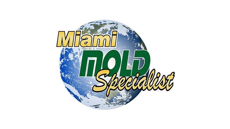 Miami Mold Specialists