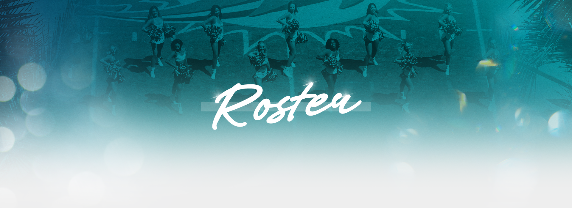 Photo of Miami Dolphins Cheerleaders Roster Header