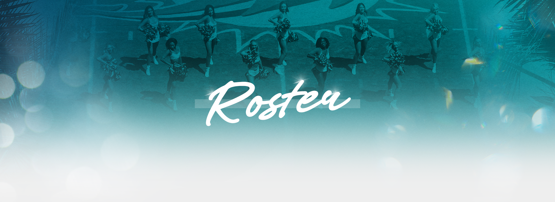 Dolphins Cheerleaders Roster | Miami Dolphins - dolphins.com