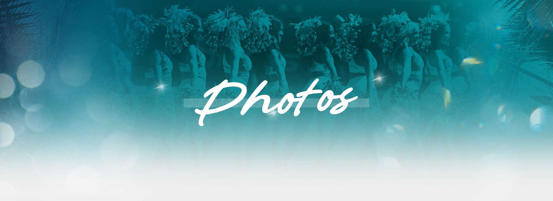 Photo of Miami Dolphins Cheerleaders Multimedia Header