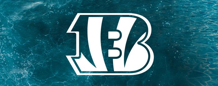 Buy tickets for the Dolphins versus Bengals game