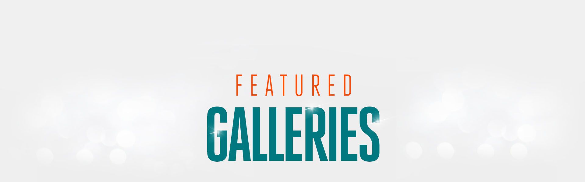 View Photos and Videos of the Miami Dolphins Cheerleaders