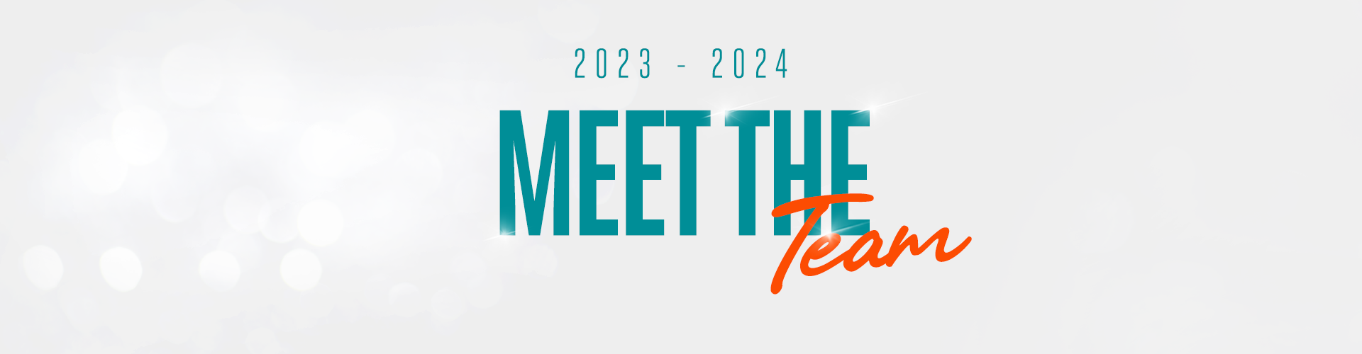 Meet the 91 Dolphins Cheerleaders Roster