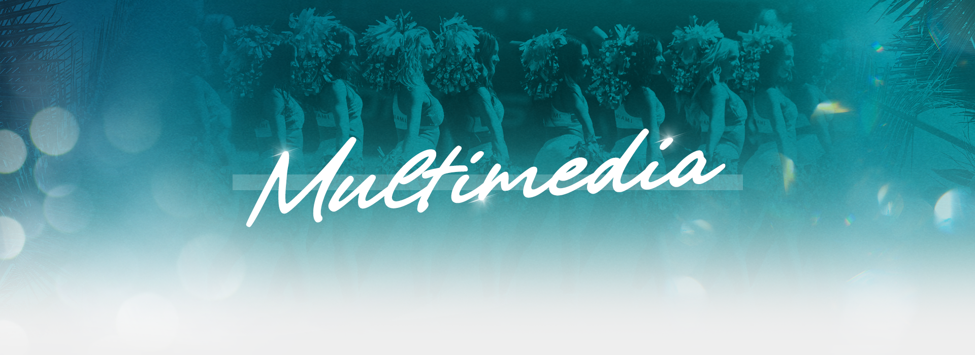 Photo of Miami Dolphins Cheerleaders Multimedia Header