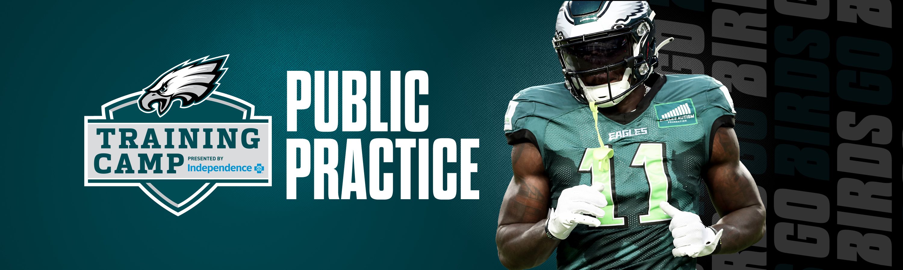 Philadelphia Eagles Public Practice