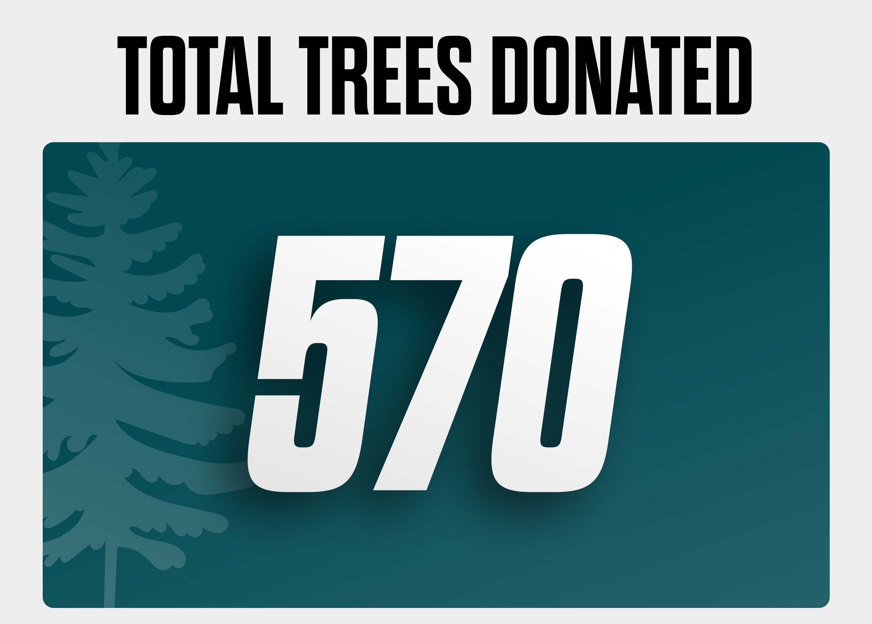 Total Trees Donated (13)