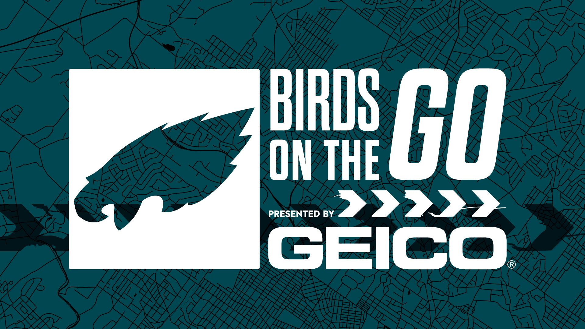 GEICO Birds on the Go